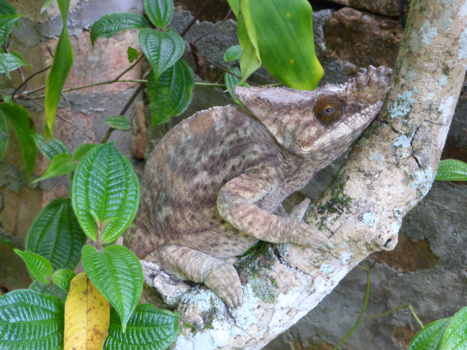 Madagaskar - Spooky but beautiful