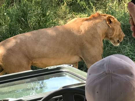 Tanzania - Zo dichtbij