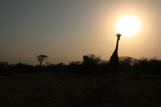 Mount Kenya - Samburu sunset
