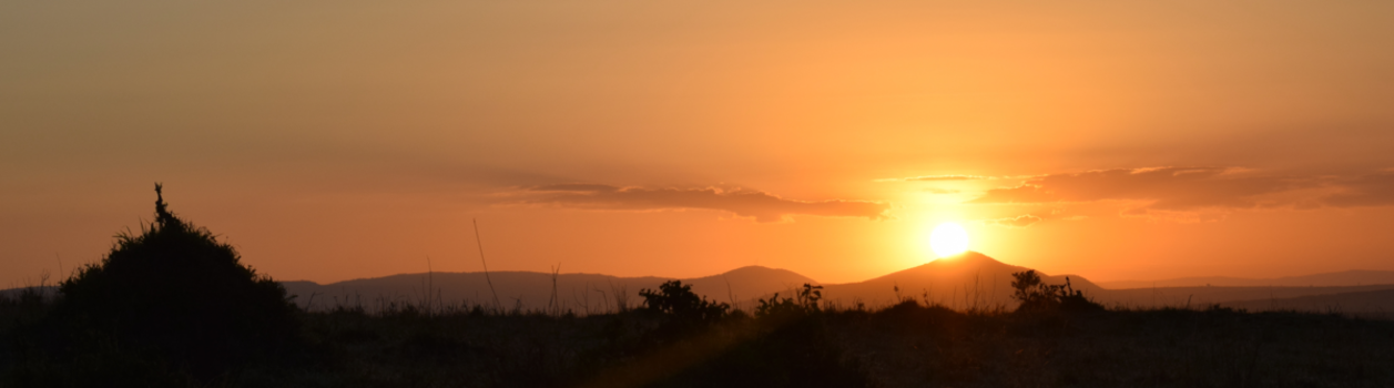 Masai Mara - Masai mara sunrise