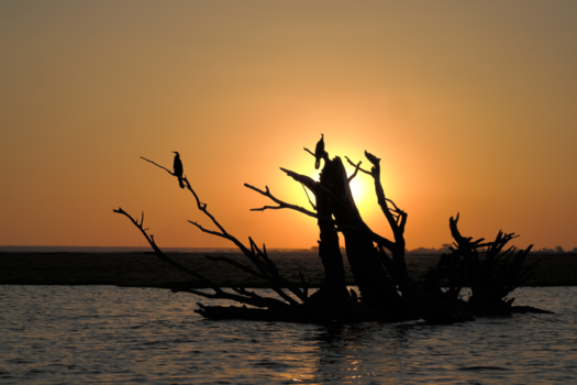 Botswana - River safari sunset