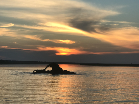 Botswana - River Safari sunset