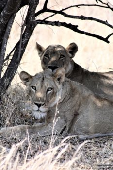 Zambia - Zenmomentje