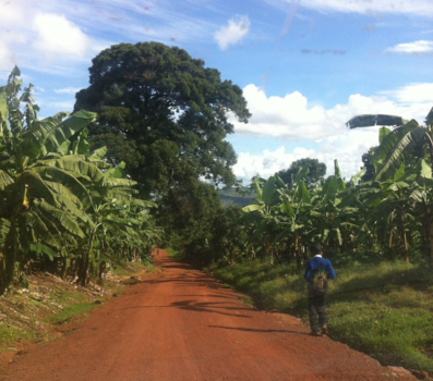 Tanzania - The road to Africa Tanzania