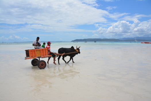 Madagaskar - Transport naar de boten door de lokals op Nosy Iranja Kely
