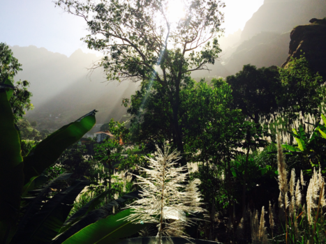 Kaapverdië - Sunny suger canes
