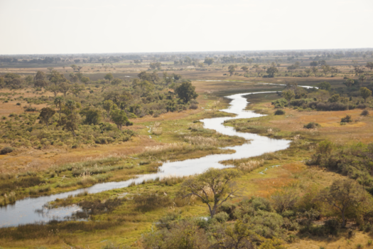 Moremi Game Reserve - Moremi Game Reserve - Helicopter