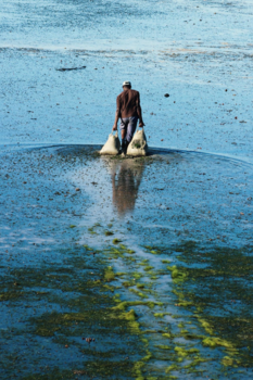 Stranden van Zanzibar - The Drag
