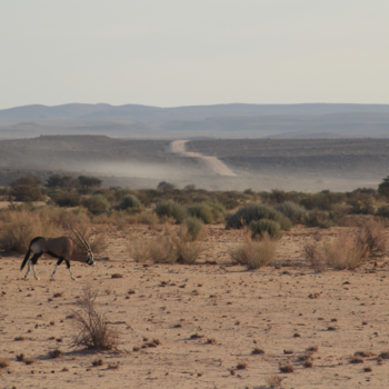 Namibië - Eindeloos en alleen
