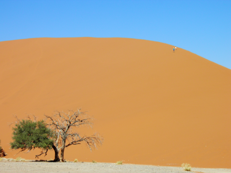 Namib-Naukluft National Park - Kids on top!