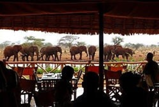 Kenia - Ngutuni lodge.