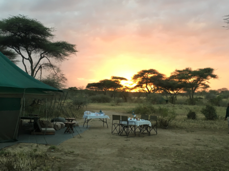 Tanzania - Breakfast in the Serengeti !!!