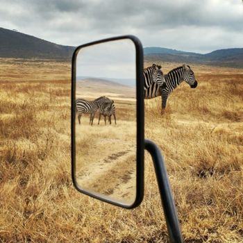 Tanzania - Secret of traveling is to see & explore it all at the same time