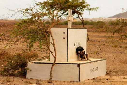 Kaapverdië - Loyalty