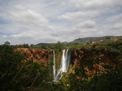 Essaouira - Green again