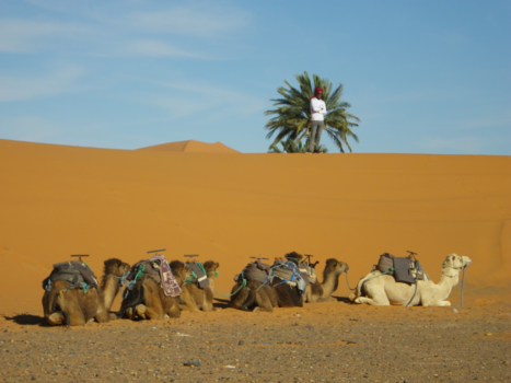 Marrakesh - Enjoy the moment
