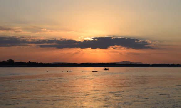 Tanzania - Selous Rufiji River - Hippo's / Sunset