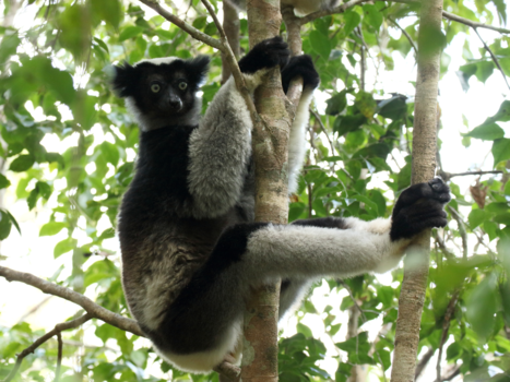 Madagaskar - Hanging out in Madagascar