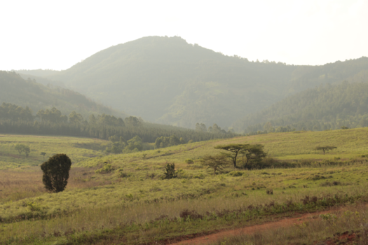 eSwatini (voorheen Swaziland)