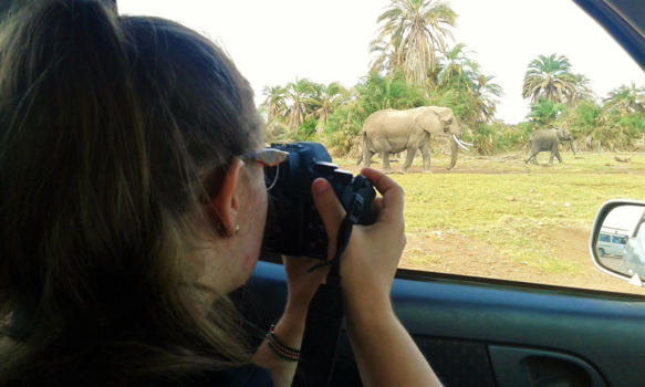 Kenia - Amboselli