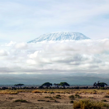 Kenia - Kilimanjaro