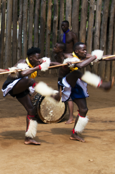 eSwatini (voorheen Swaziland) - Oorlogsdans uit Swaziland