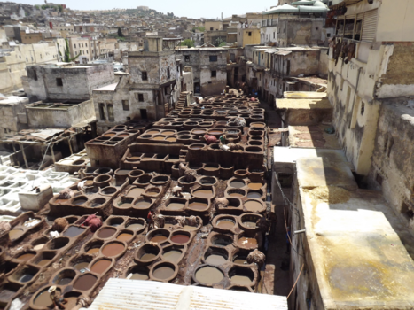 Marokko - leer fes kennen