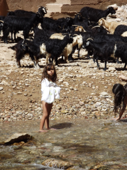 Marokko - geiten hoedster