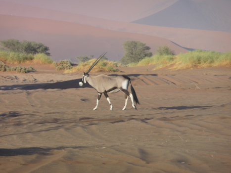 Namibië - Alleen