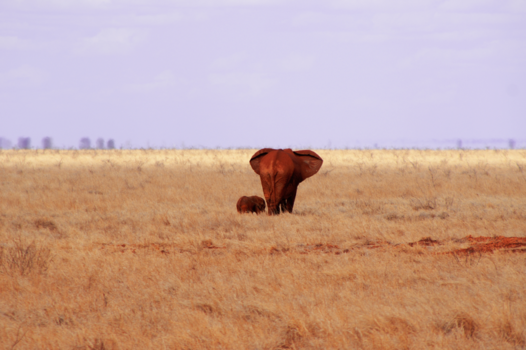 Kenia - Mamma...