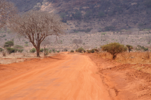 Kenia - On the road...