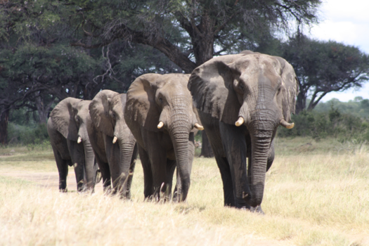 Namibië - De Parade ...