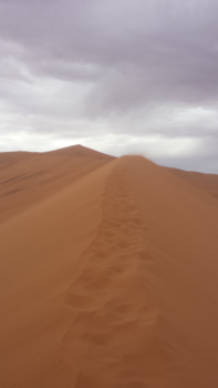 Namibië - Sossusvlei - Namibië