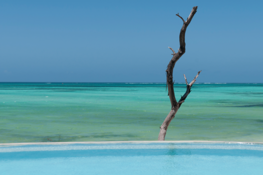 Stranden van Zanzibar - Enjoy