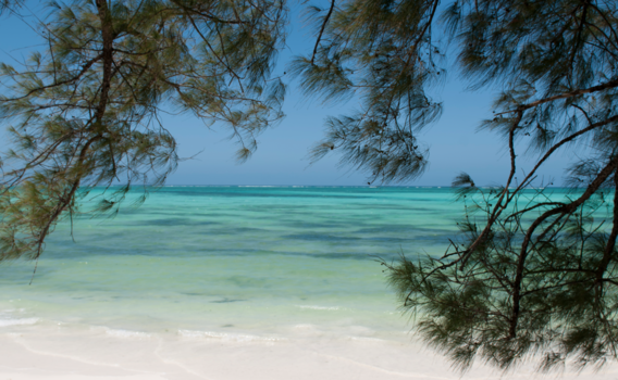 Stranden van Zanzibar - Zanzibar
