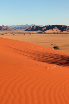 Sossusvlei - Photoshop echt niet nodig in Sossusvlei