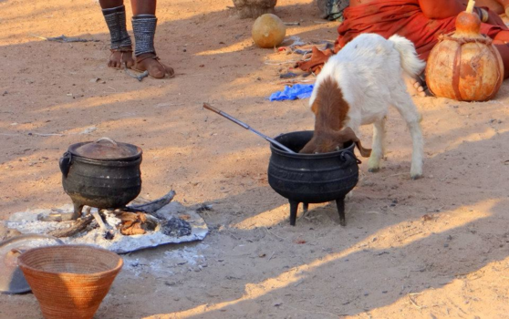 Namibië - Wat de pot schaft..