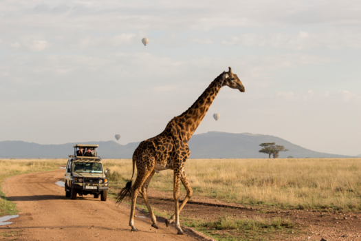 Serengeti National Park - Ultieme safari foto