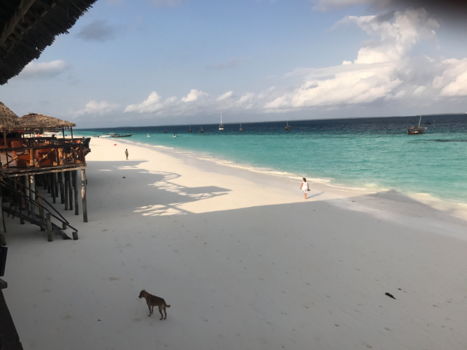 Tanzania - Zanzibar