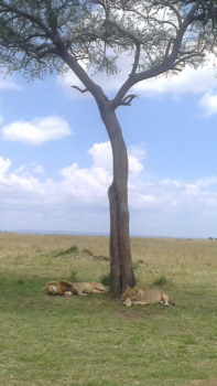 Kenia - Siësta tijd.