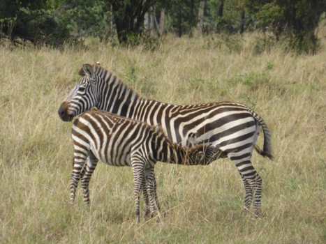 Kenia - Etenstijd.