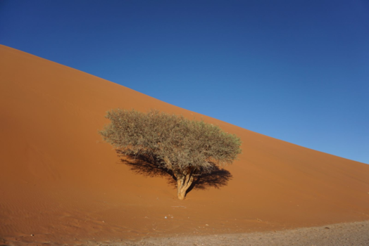 Spitzkoppe - Sossusvlei