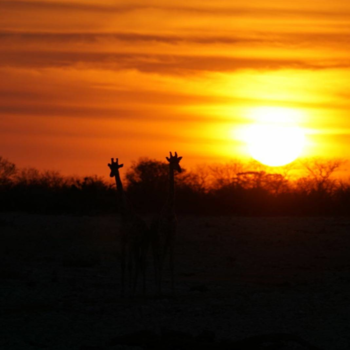 Spitzkoppe - Etosha