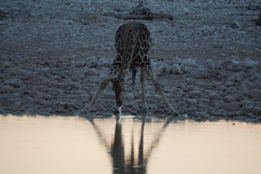 Spitzkoppe - Botswana