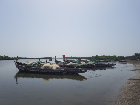 Gambia