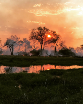 Okavango Delta - Nature on fire