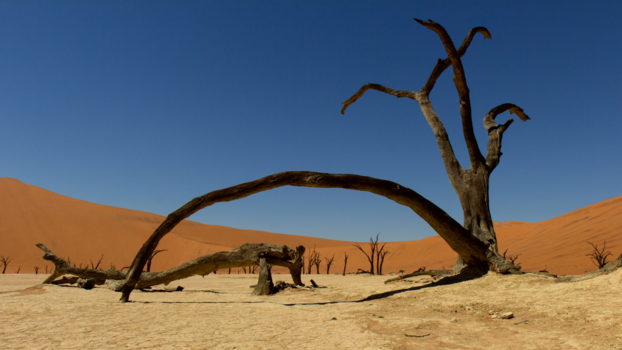 Namibië - Deathvlei