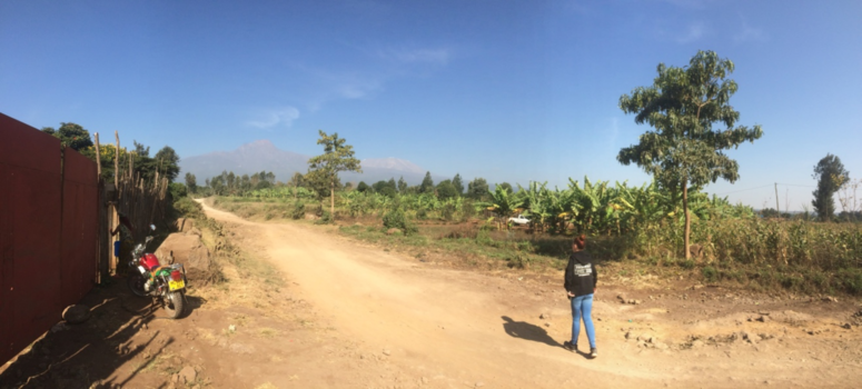 Tanzania - Kilimanjaro