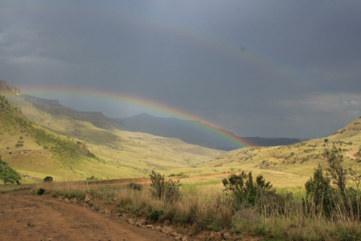 Drakensberge - Bij 2 regenbogen trouwen de bavianen