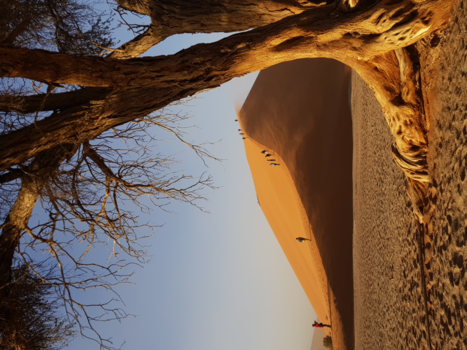 Namib-woestijn - Lekker duintje!